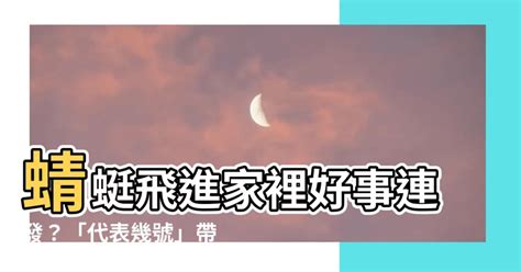 蜻蜓 飛進家裡